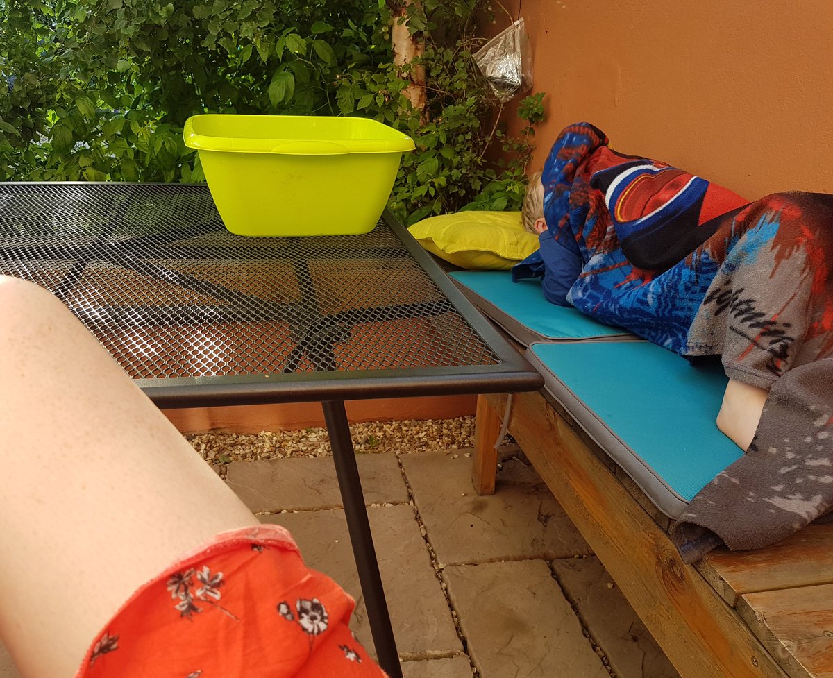 SonyaStuart's tweet photo. Chilling in the garden with patient number two #tummybug #ilikehisstyle #onthemend🤞 #greenbasinforwhenyourefeelinggreen https://t.co/GgYcx0mjtu
