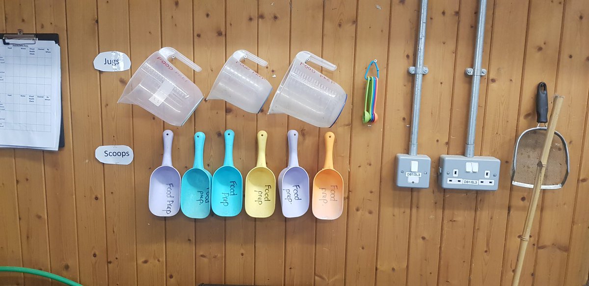 CollegeWitton's tweet photo. Its that time of year when the animal unit gets a good sort out. Starting with the cleaning & feeding equipment today. Cleaning, labelling, rehoming & restocking. All in preparation for when you all return. #myerscough #equipment #sortout #animalunit https://t.co/KxkxBgySAW
