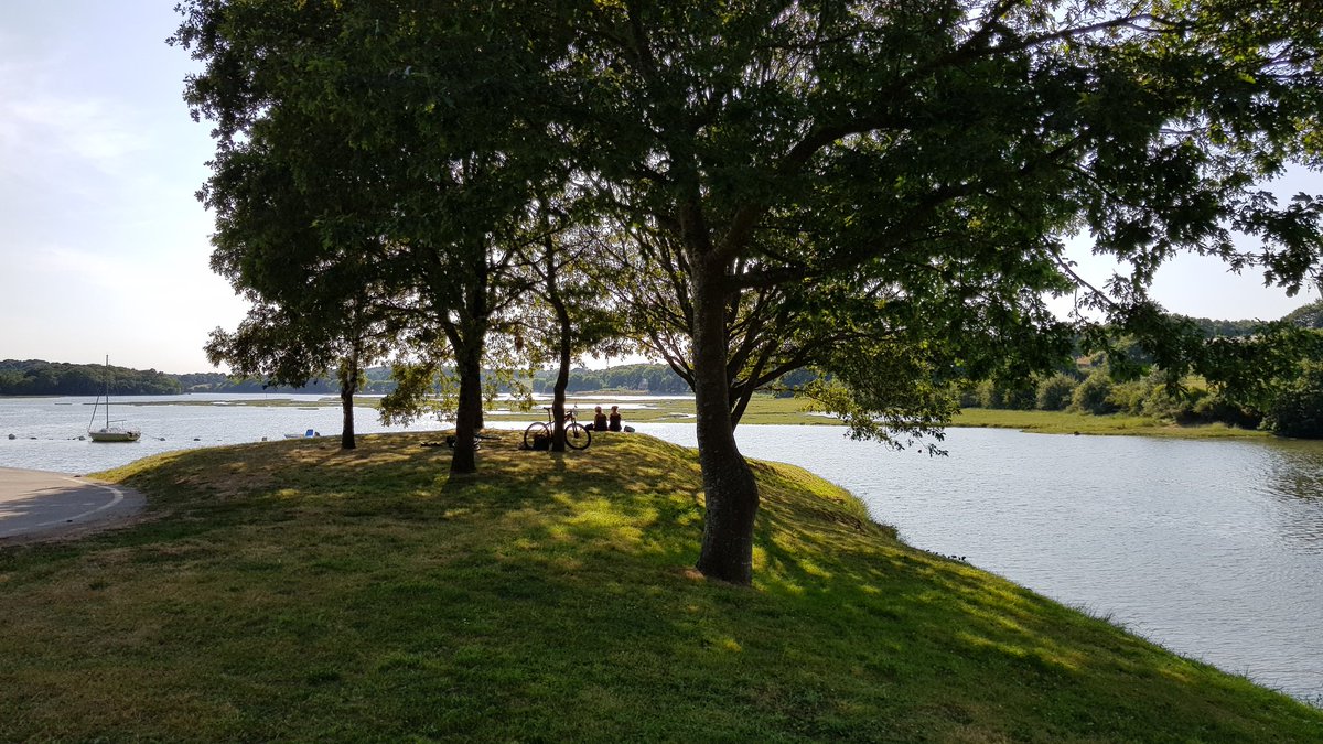 OneTwoTrips tweet media