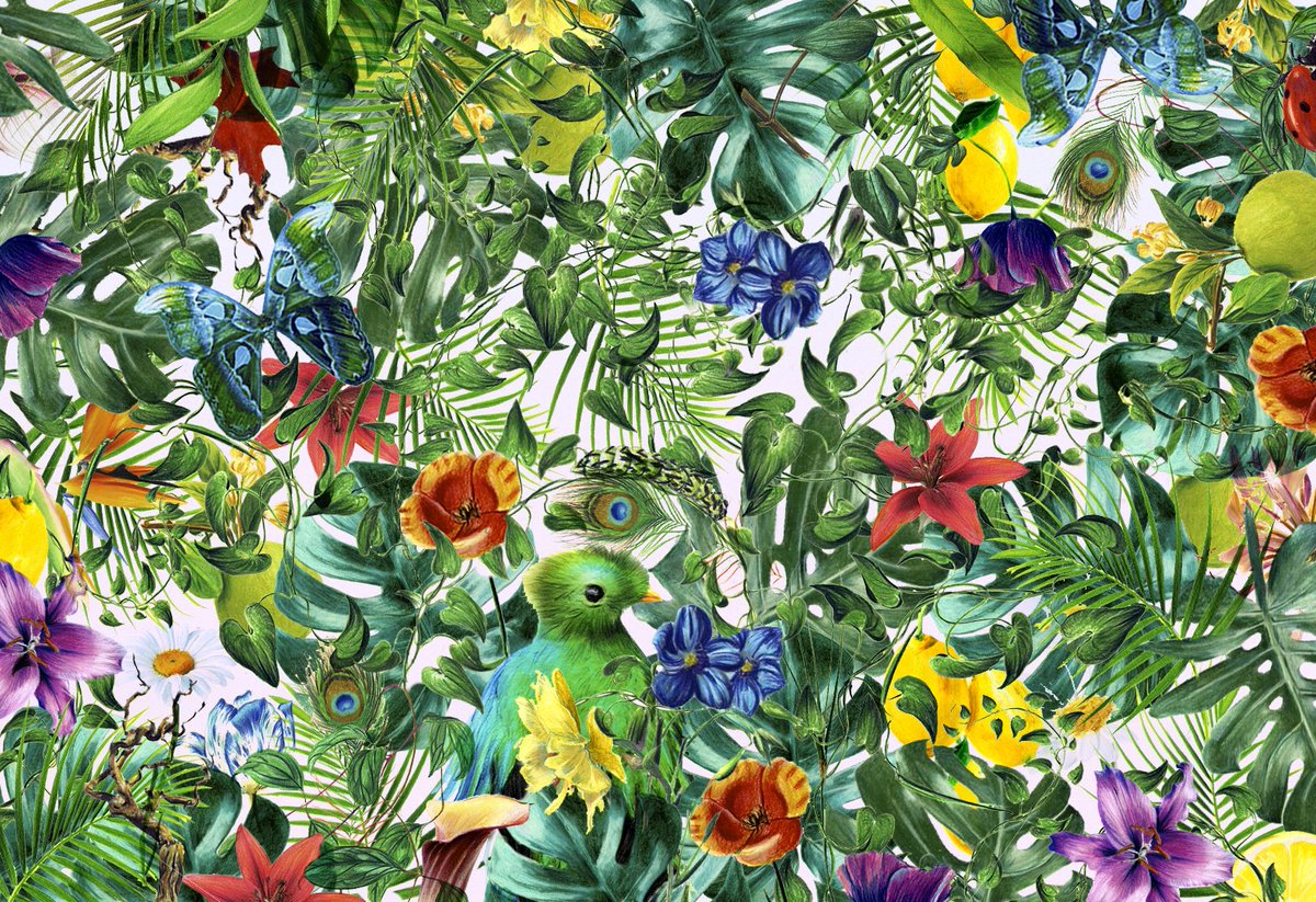 nabilnezzar's tweet photo. Botanical treasure https://t.co/raI7UFvplL