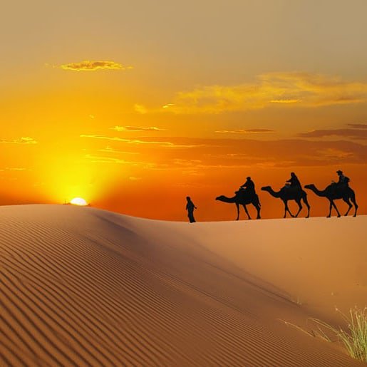 scbholidays's tweet photo. Tunisia has vibrant towns, stunning beaches, traditional souks and of course, the Sahara desert!

Find your perfect Tunisian villa here - https://t.co/sSANzbBYON

#tunisia #sousse #tunis #berber #sahara #desert #sanddunes #holiday https://t.co/5nxnxQKyFr