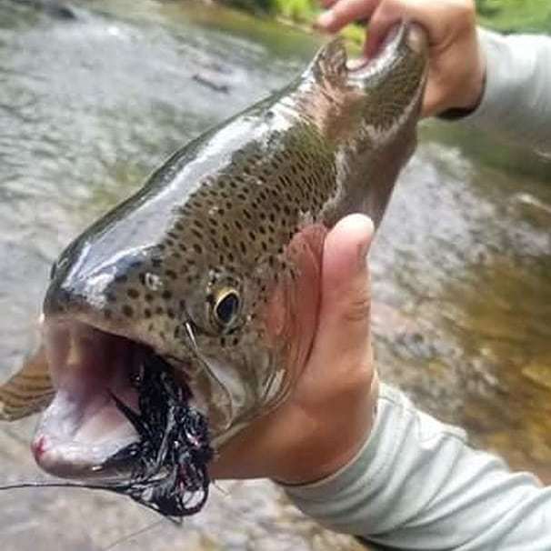 TrueFlySupply's tweet photo. Hungry streamer eaters down in north Georiga
.
.
.
.
.
.
.
#flyfishing 
#flyfishingjunkie 
#streamerjunkie 
#streamers 
#thetugisthedrug 
#stripstripboom 
#hiptothestrip 
#troutfood 
#troutfishing 
#georgia 
#getoutside 
#monthlygoodness 
#trueflysupply https://t.co/Eacrz86vEw https://t.co/V0RPyfKATC