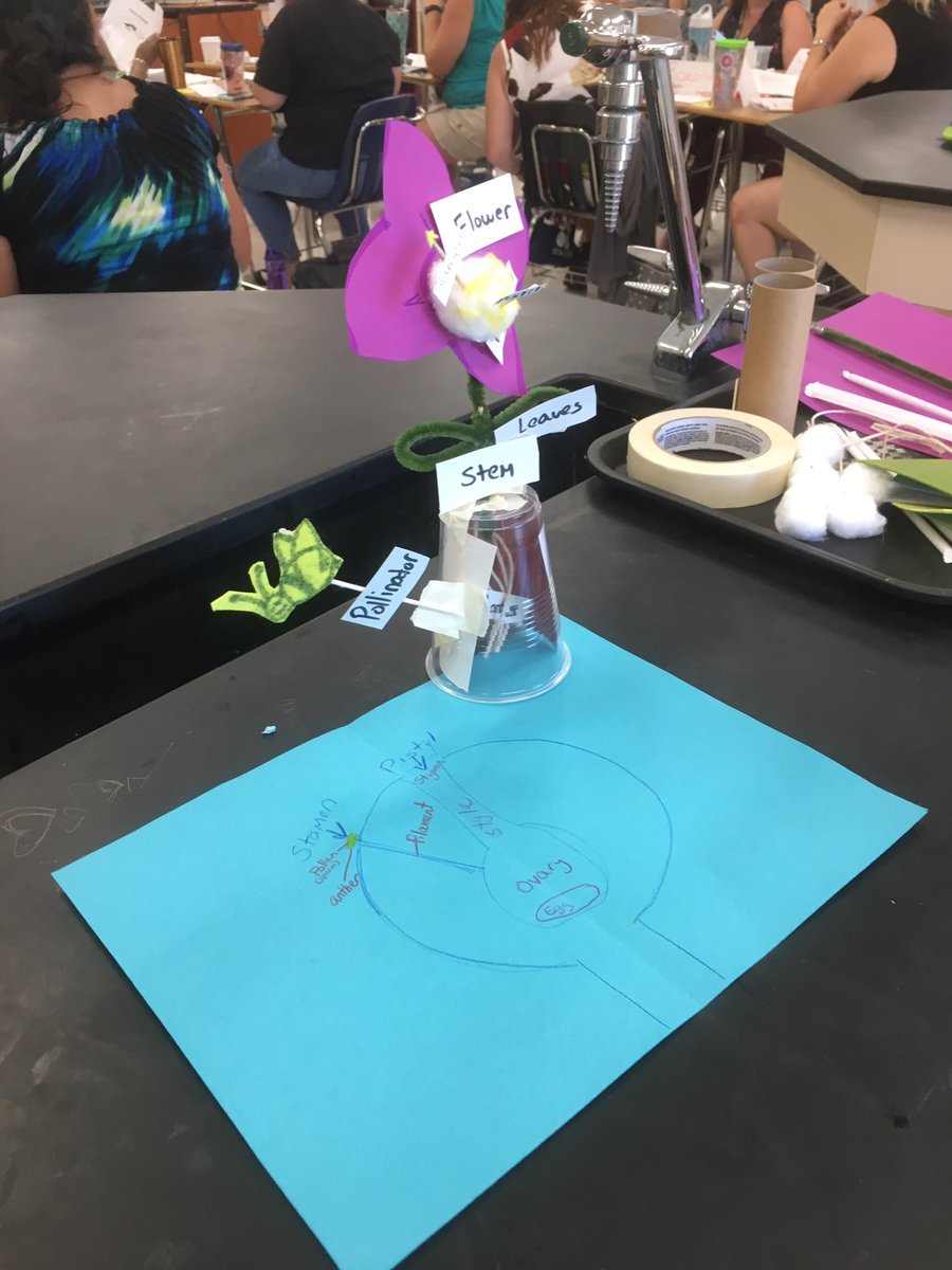 #flstemposium2019
Florida teachers studying plants and pollinators.