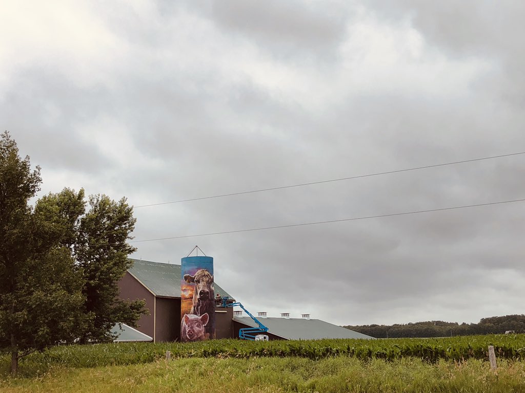 How absolutely STUNNING is this silo?! On Bruce Road 3 north of Dunkeld.