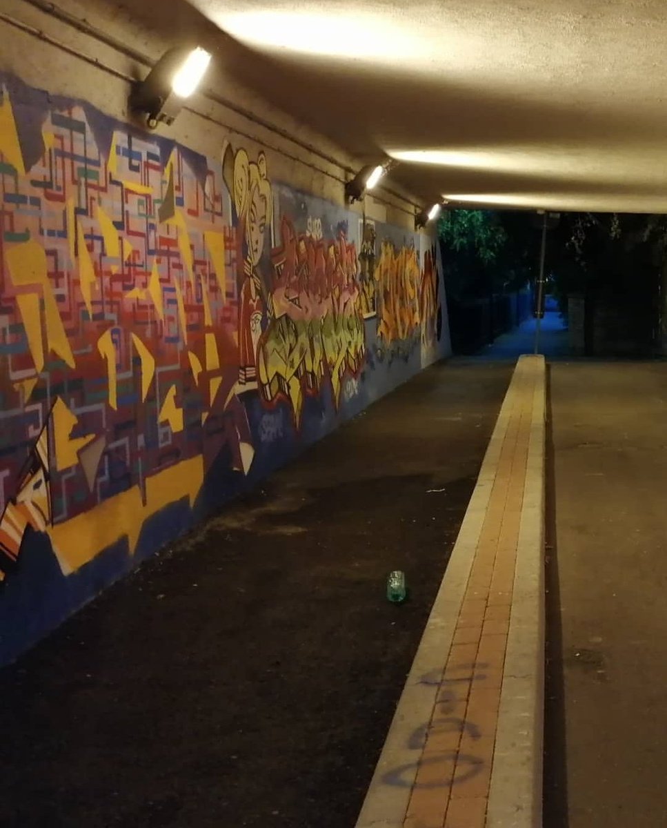 eTempo_Spinea's tweet photo. Completati e bellissimi i nuovi #murales nel tunnel che porta da via Unità alla Stazione #SFMR, opera di un gruppo di ragazzi #writers che ha potuto dare sfogo alla propria creatività con materiali offerti dal @Comune_Spinea

#UnaBellaDifferenza https://t.co/PvcQg71Bxc