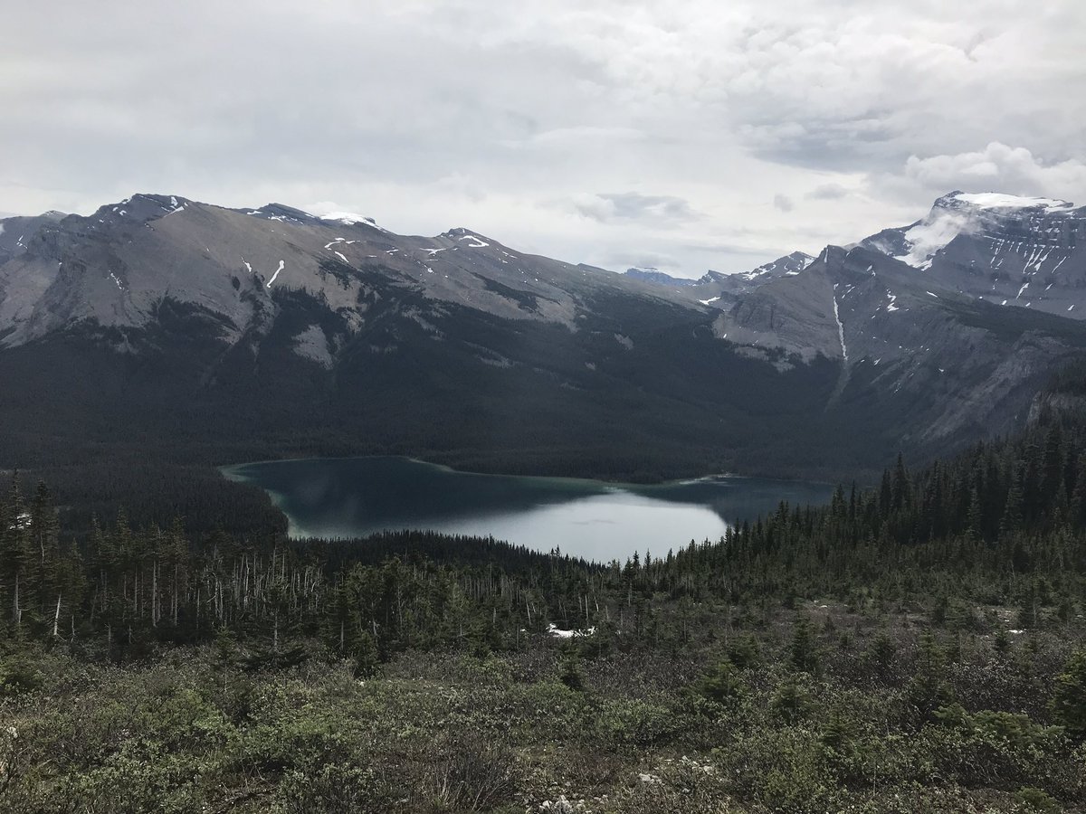 superchickenjon's tweet photo. I had the privilege of backpacking with two amazing colleagues over 4 mountain passes last week. It was exhausting and inspiring. Such great people and no shortage of fun. Grateful for the beautiful place we live. #michellelakes #pintolake #banffnationalpark https://t.co/zAqKRZZH4q
