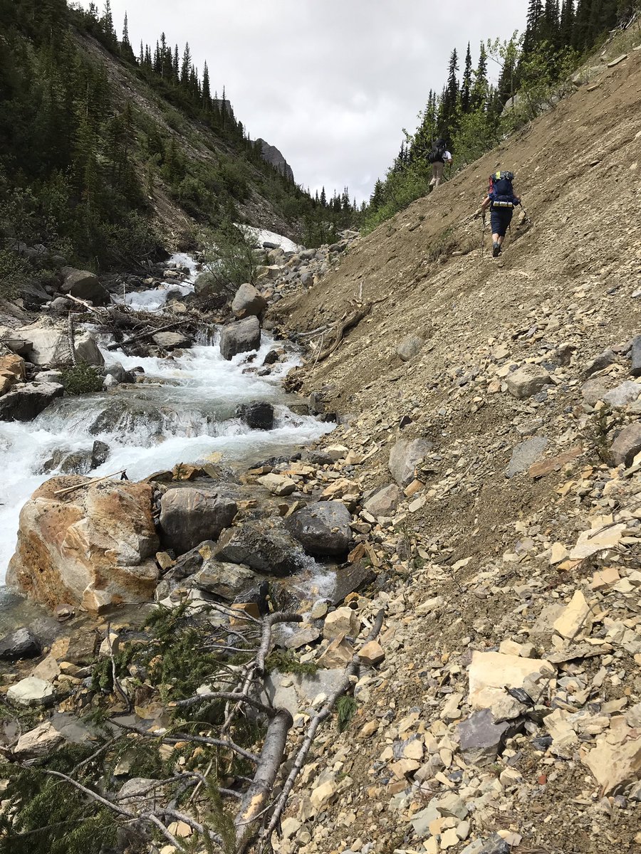 superchickenjon's tweet photo. I had the privilege of backpacking with two amazing colleagues over 4 mountain passes last week. It was exhausting and inspiring. Such great people and no shortage of fun. Grateful for the beautiful place we live. #michellelakes #pintolake #banffnationalpark https://t.co/zAqKRZZH4q