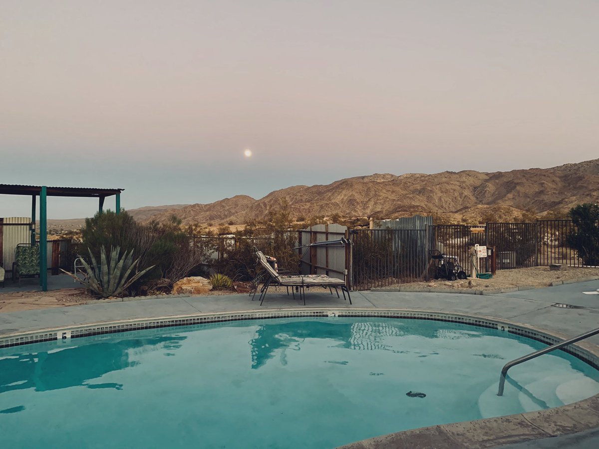 Harmony Motel tweet media