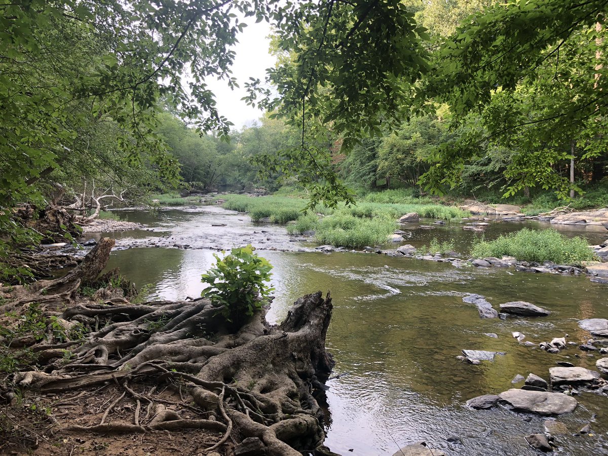 Molly Demarest tweet media