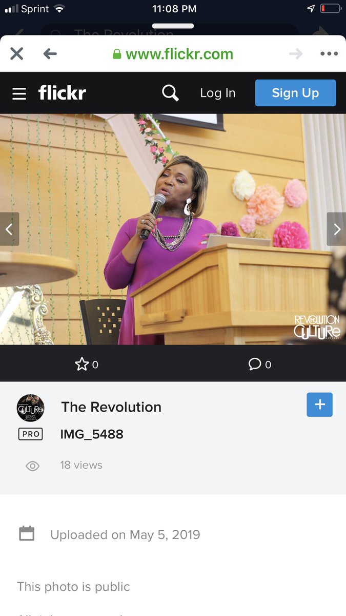 RaycheenSims's tweet image. 