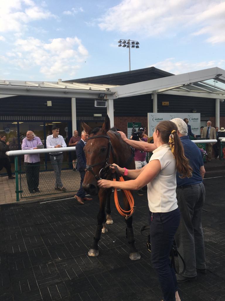 mellorequine's tweet photo. Midnight Request WINS @Southwell_Races tonight on his 2nd run for us after being purchased from Ireland a couple of months ago. A nice value for money purchase! #winnerwinner #sopleased #offthefront https://t.co/4j5vpVSFbV