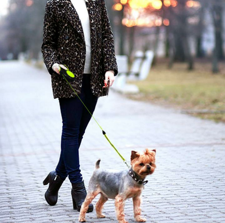 JoJosWorldStore's tweet photo. Multifunctional Retractable Automatic Extending Reflective Dog Leash🐾 - 10ft and 16ft option

Available at: https://t.co/sMGdsxMocY
_______
#dogleash #doglead #dogshop #onlineshop #onlinedogshop
#dogshoponline #10ft #16ft #freeshippingnationwide #TeamJoJosWorld https://t.co/he77QohKks