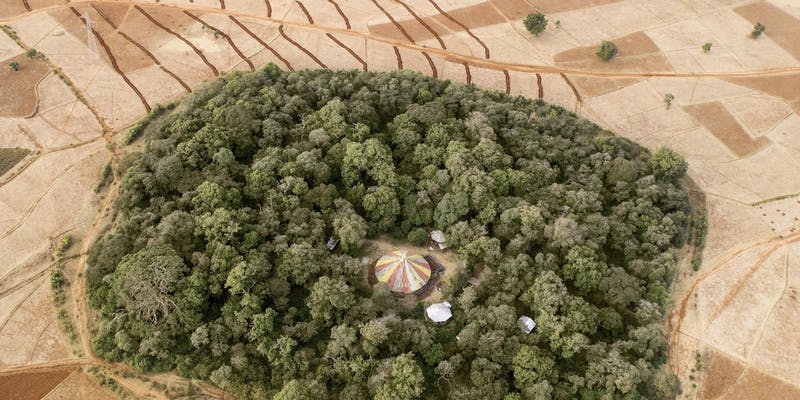 ReligionMag's tweet photo. Have you downloaded our podcasts? Here's our latest -- an interview with photojournalist @kierandodds about his @NatGeoPhotos story on #churchforests in #Ethiopia
https://t.co/9i6VHkItPZ https://t.co/F7nYXjkbZC