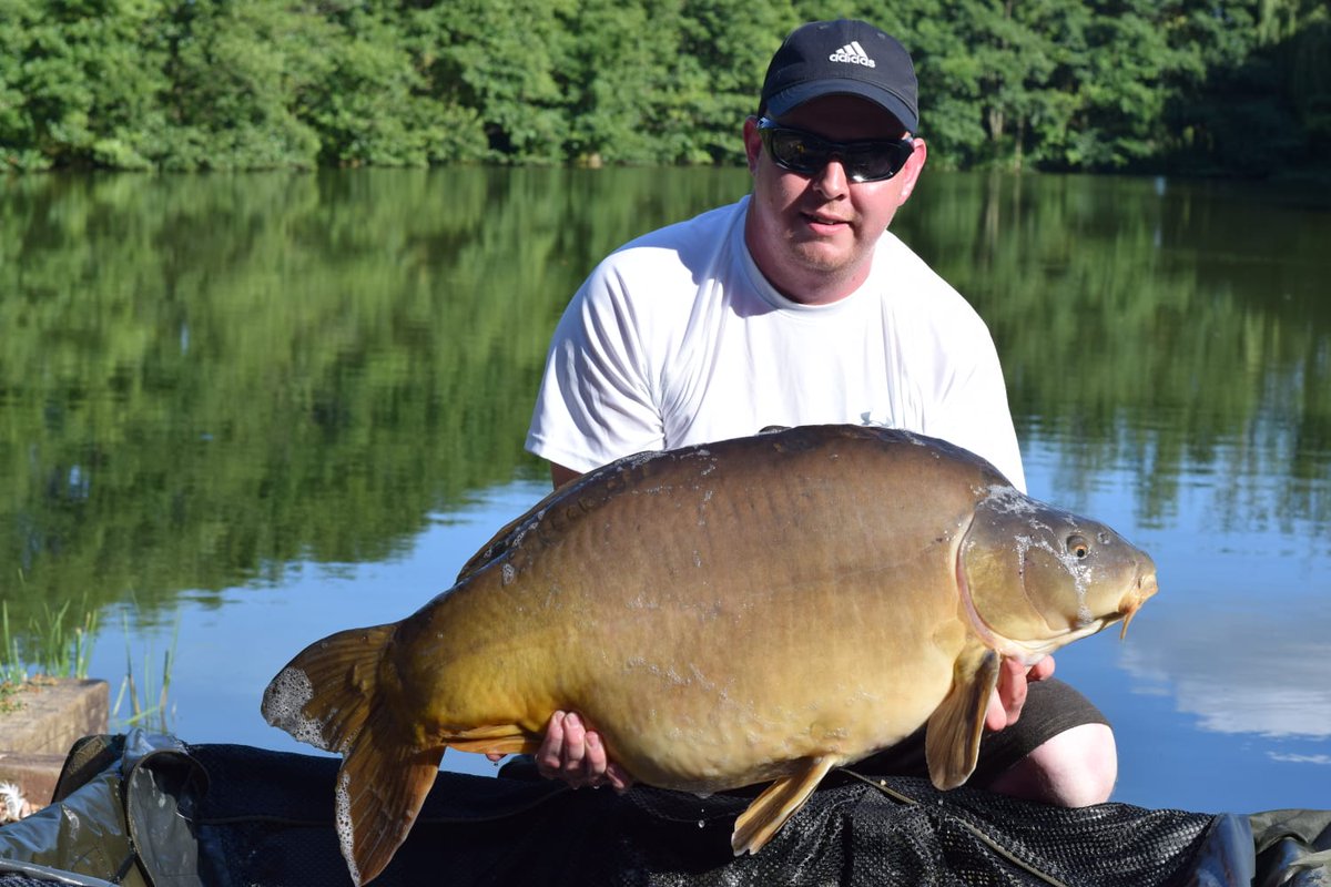 CarpInvasion's tweet photo. Ian Manning having a cracking week  had 15 fish so far.
11-7-19
All caught on fruit infusion 👍
16lb grass, 27lb5oz mirror,31lb5oz mirror,36lb4oz mirror,36lbmirror,40lb mirror,42lb common,45lb mirror,29lb grass,11lb4oz grass,40lb common,15lb sturgeon, and waiting on 3 more photos https://t.co/kUreL4NtIm