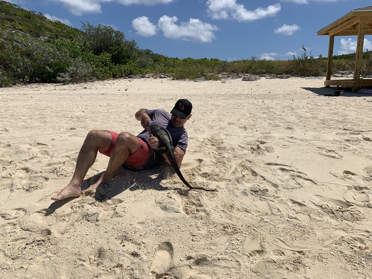Gambo987's tweet photo. It was a true fight for survival between me and this dragon today - although Iβm sad to report he got the better of me and I have the scars to prove it. #exumaislands https://t.co/cZrQvzXaSp