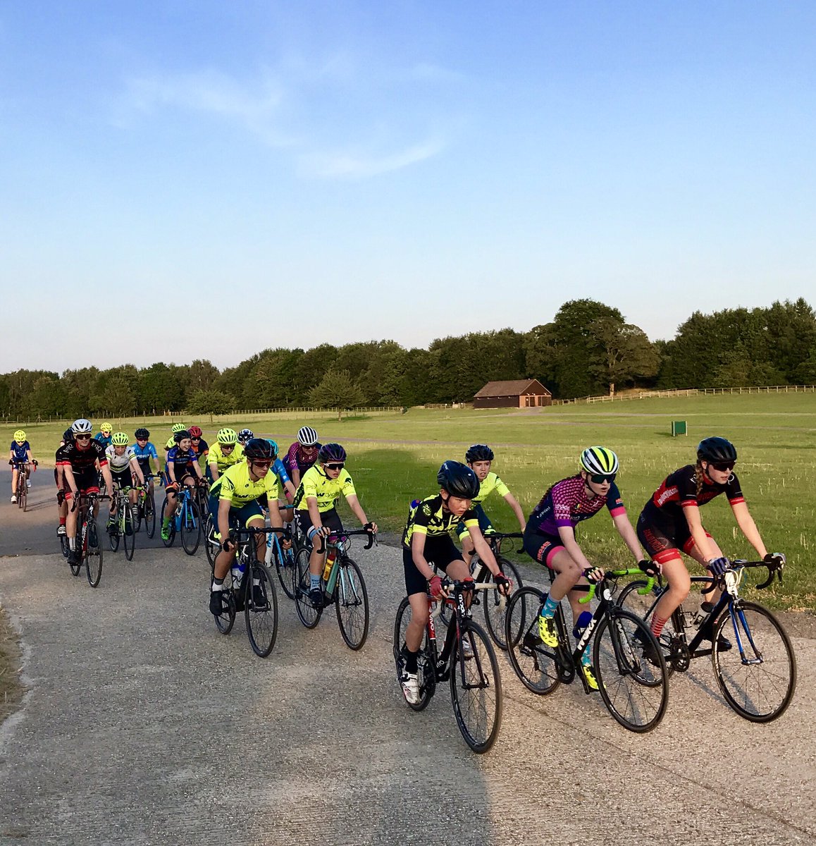 HalcyonCycleCoaching tweet media