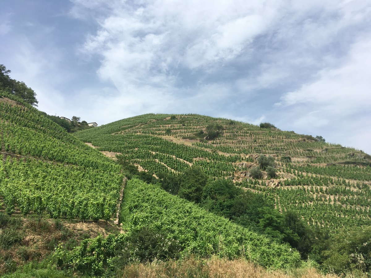 New blog post: Jean-Michel Stephan, independent spirit on the Côte-Rôtie pixelsrcheap.wordpress.com #blog #CoteRotie
