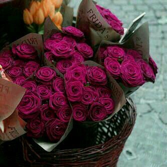 هُوَ آلآَمَلٌ يَجعَلٌ آلآَحْلآمَ آجْمَلْ ؛ وَ هِيَ الدعَوَآت تَجْعَلُهآ أقْرَب..♡ْ