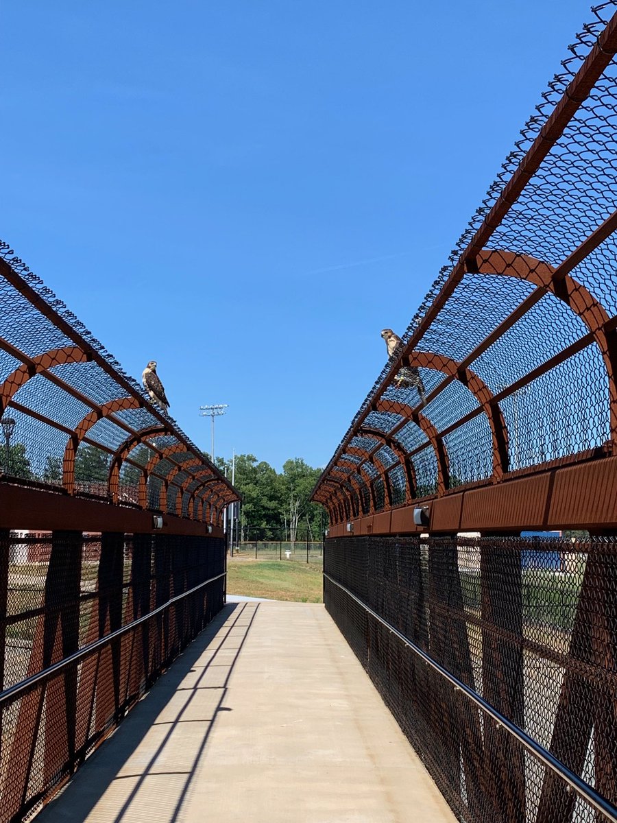 Reminder of a big splash at The Ballroom this morning.