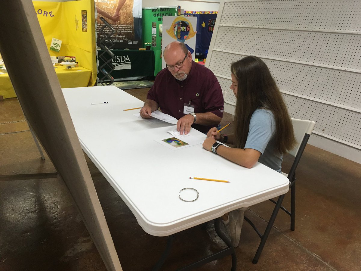 Sunflower Electric Garden City Station Garden Design