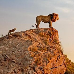 Daniel Jean-poix tweet media