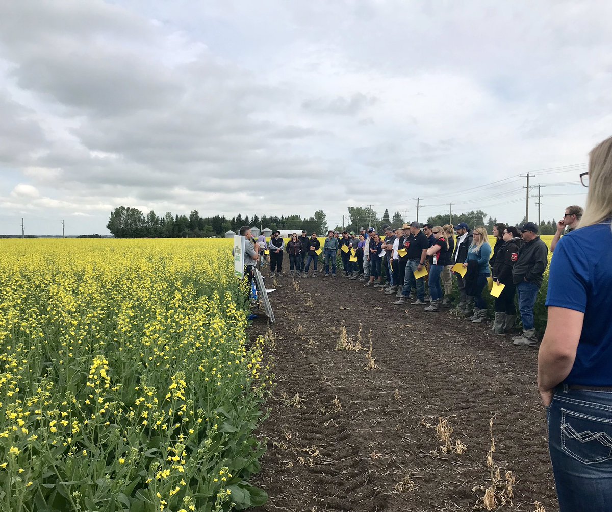 It was a nice morning for a <a href="/BASFAgSolutions/">BASF Agricultural Solutions Canada</a> field huddle at our Leduc DST! Stay tuned for tours at our Namao and Pickardville sites soon! #3newInVigorhybrids #InVigorRate <a href="/LeightonBlashko/">Leighton Blashko</a>