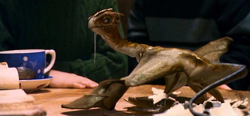 dragons_let's tweet image. #Day21 Norberta. First appearing in the Harry Potter books, she originally was mistaken for a male, and named Norbert. She was raised by Hagrid who got the egg from Quirrell before being sent to live in Romania with Charlie Weasley. What do you think of this Norwegian Ridgeback?