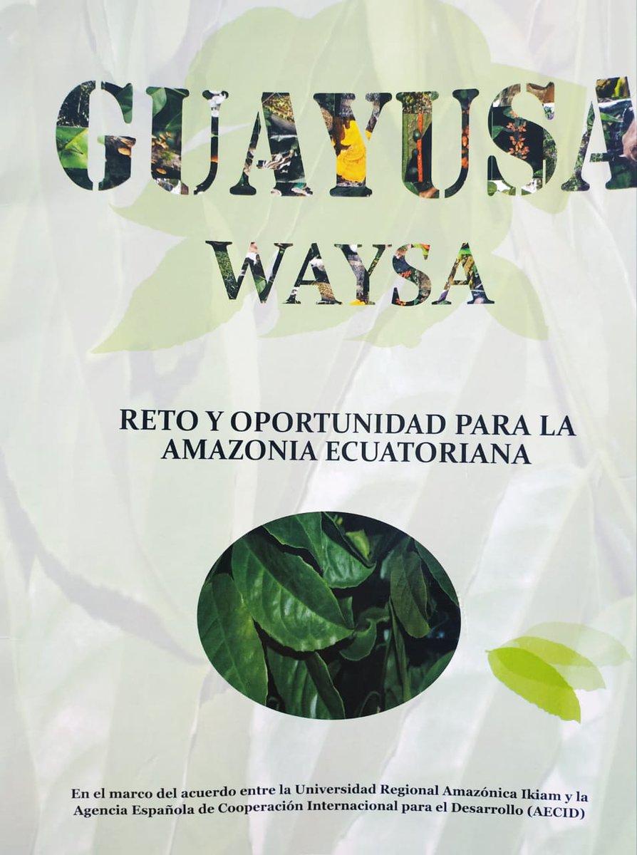 u_ikiam's tweet photo. #Atacapi es sede del lanzamiento del libro "Guayusa (waysa) Reto y Oportunidad para la Amazonía Ecuatoriana". Producto del esfuerzo mancomunado entre #Ikiam - #AsoGuayuProd y la comunidad Kichwa de Atacapi. Con auspicio de @aecidecuador e Ikiam. https://t.co/rZ1SzZ7Yp0