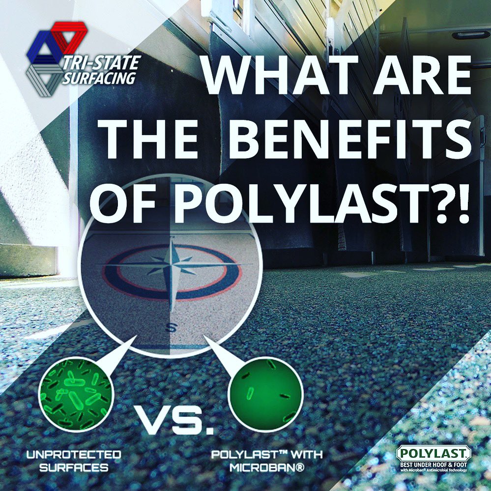 🤔What are the Benefits of <a href="/polylast/">Polylast Global</a> rubber flooring?!
👉Non-slip
👉Antimicrobial <a href="/microban/">Microban International</a> technology 👉10-year warranty
👉No more mats or shavings
👉Easy to Clean!
👉Reduce leg impact shock
.
#equestrian #barn #horsesofinstagram #showjumping #horselover #horseshow #horse