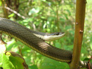 Ontario Parks tweet media