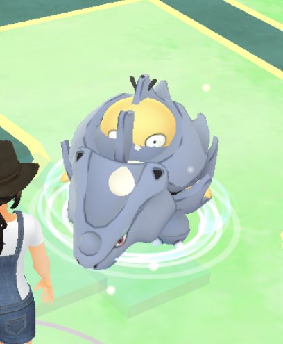合体ポケモン