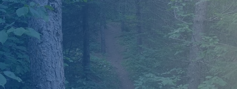 InterstatesCo's tweet image. When we went to northern MN to help the Coldwater Foundation with an electrification project, we anticipated unique challenges. What we didn’t expect was the remarkable way in which everyone came together. Read more - bit.ly/2LldDdf. #InterstatesBlog