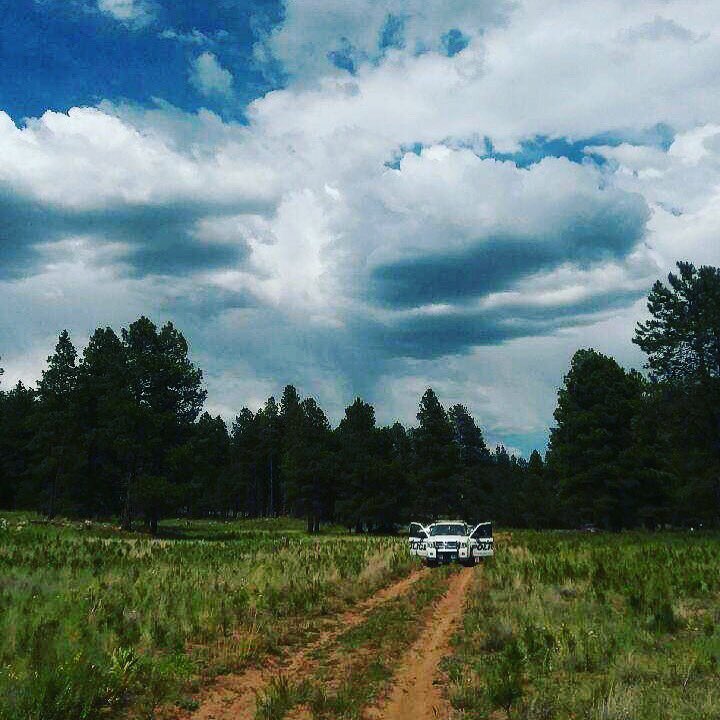 NAUPolice's tweet photo. Did you know NAU owns some non developed property in the forest? We love getting out there and patrolling!☀️🌲#naupd https://t.co/ilYJqBGdSe