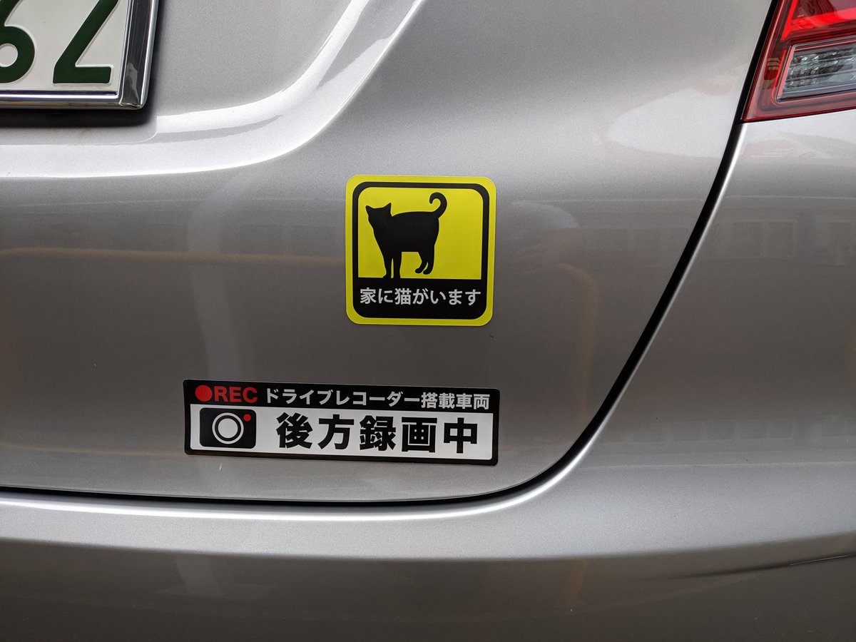 家に猫がいます 家に猫がいます