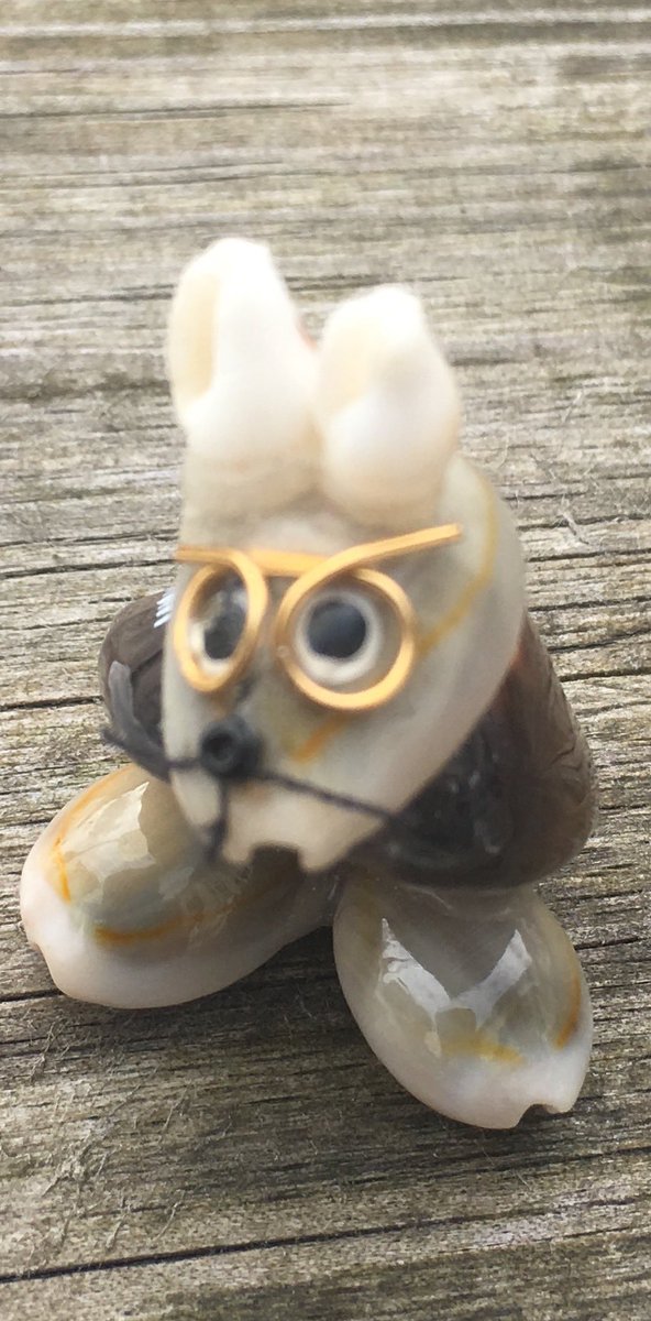 Joanne Buchanan tweet media