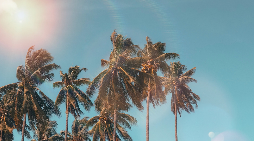 webtimeclock's tweet image. It&apos;s been a hot summer so far! As an employer, make sure your employees are taken care of and kept cool, it&apos;s your responsibility! 😎☀️🌴

omegahrsolutions.com/2019/05/helpin…