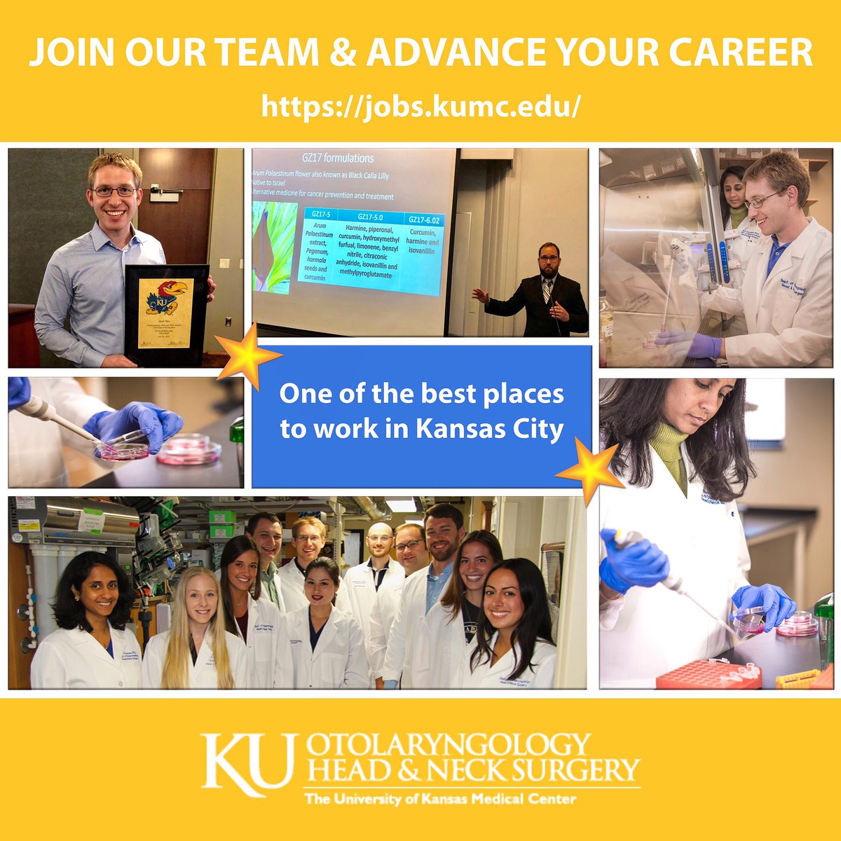 KU Otolaryngology - Head & Neck Surgery (@ku_ent) on Twitter photo We’re hiring for two new positions in our Head & Neck Oncology Lab led by NIH R01-funded Sufi Thomas PhD <a href="/KU_ENT/">KU Otolaryngology - Head & Neck Surgery</a>. These are great job opportunities to join our team @kumedcenter @kucancercenter in #KC
Post-Doc Fellow
jobs.kumc.edu/postings/25221
Research Tech
jobs.kumc.edu/postings/25153 We’re hiring for two new positions in our Head & Neck Oncology Lab led by NIH R01-funded Sufi Thomas PhD <a href="/KU_ENT/">KU Otolaryngology - Head & Neck Surgery</a>. These are great job opportunities to join our team @kumedcenter @kucancercenter in #KC
Post-Doc Fellow
jobs.kumc.edu/postings/25221
Research Tech
jobs.kumc.edu/postings/25153
