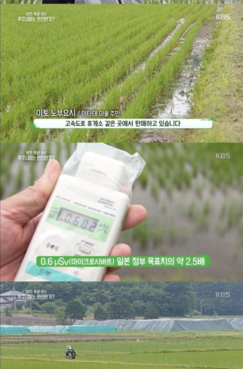 dalgona75's tweet photo. #Fukushima rice paddy.
Can you see that #radiation sensor?
It is 2.5 times higher than #Japanese gov.'s goal.
Also can you see that soils under vinyl covers? ㅡ cesium contaminated soils.
The rice will be served for 2020 #Olympic players and tourists.
Wanna go to Japan?

#fallout https://t.co/KcZOLQvGut