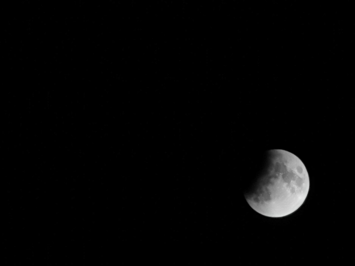 bader3sm's tweet photo. #خسوف_القمر
#P30Pro https://t.co/nyTgQHqF2c