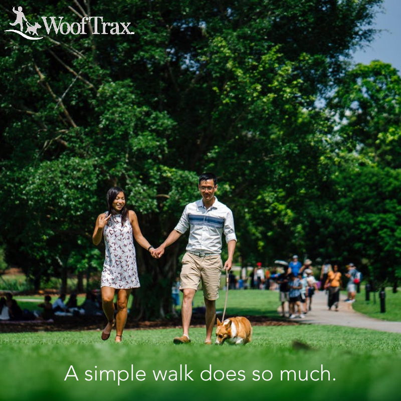 WoofTrax's tweet photo. So true!! #simplewalk #wooftrax #walkforadog #goodforyou #goodforyourdog #goodforyouranimalshelter https://t.co/O6ihPtX4Vd