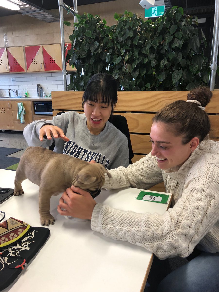 Our fabulous Stanford d-school intern Sarah Walker enjoying life in our fun co-working space at #GridAKL This is Benjamin Franklin #21CSkillsLab