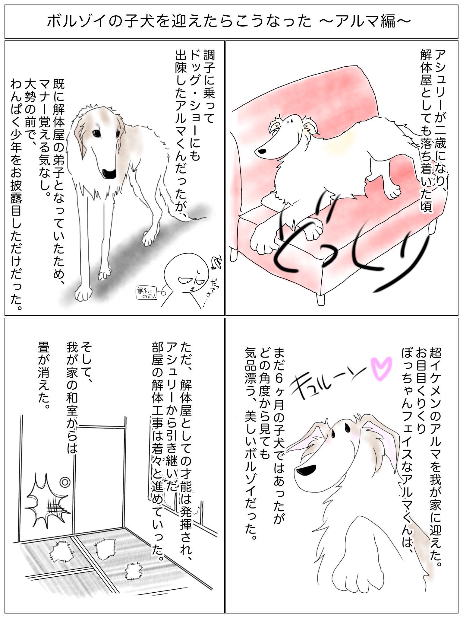 猫とネコ犬 ははぅえ A Twitter 大型犬と暮らすなら 部屋の一つや二つ消滅しても笑ってられる心も必要 特ダネ ボルゾイ T Co Qsdjgnnzlb Twitter