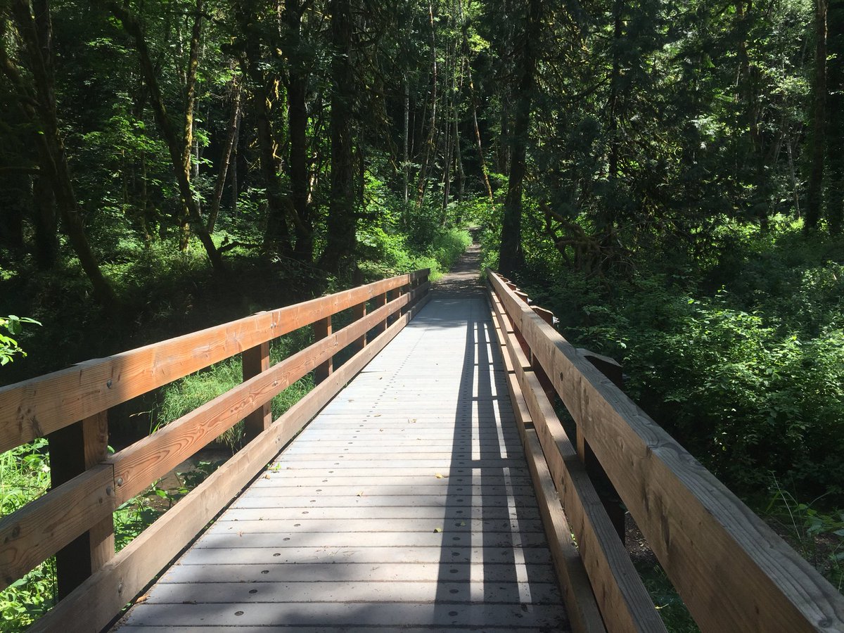 lisabKOIN's tweet photo. 2nd reported cougar sighting near/in Tryon Creek Park area SW Portland  we talk with spotters #KOIN6NEWS at 5 #cougars #pdx #tryoncreek https://t.co/OzLJ06WxH2