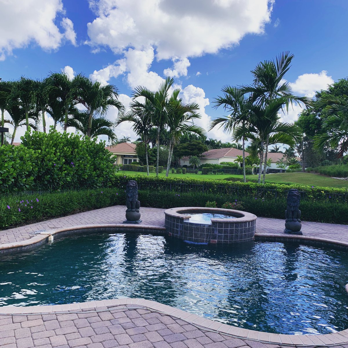 PoolPalm's tweet image. 