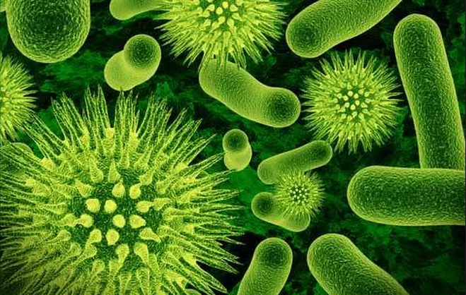 ALGA_Ltd's tweet photo. Dr Mike Donn's a Research Scientist with CSIRO and will be the presenter at ALGA's Perth Branch's new event "Assessment of the Aquifer Treatment Potential for Wastewater Treatment Plant Contaminants - Nutrients and Microbes"!

https://t.co/o5ayyW752Z

perth@landandgroundwater.com https://t.co/GyYymoXbl2