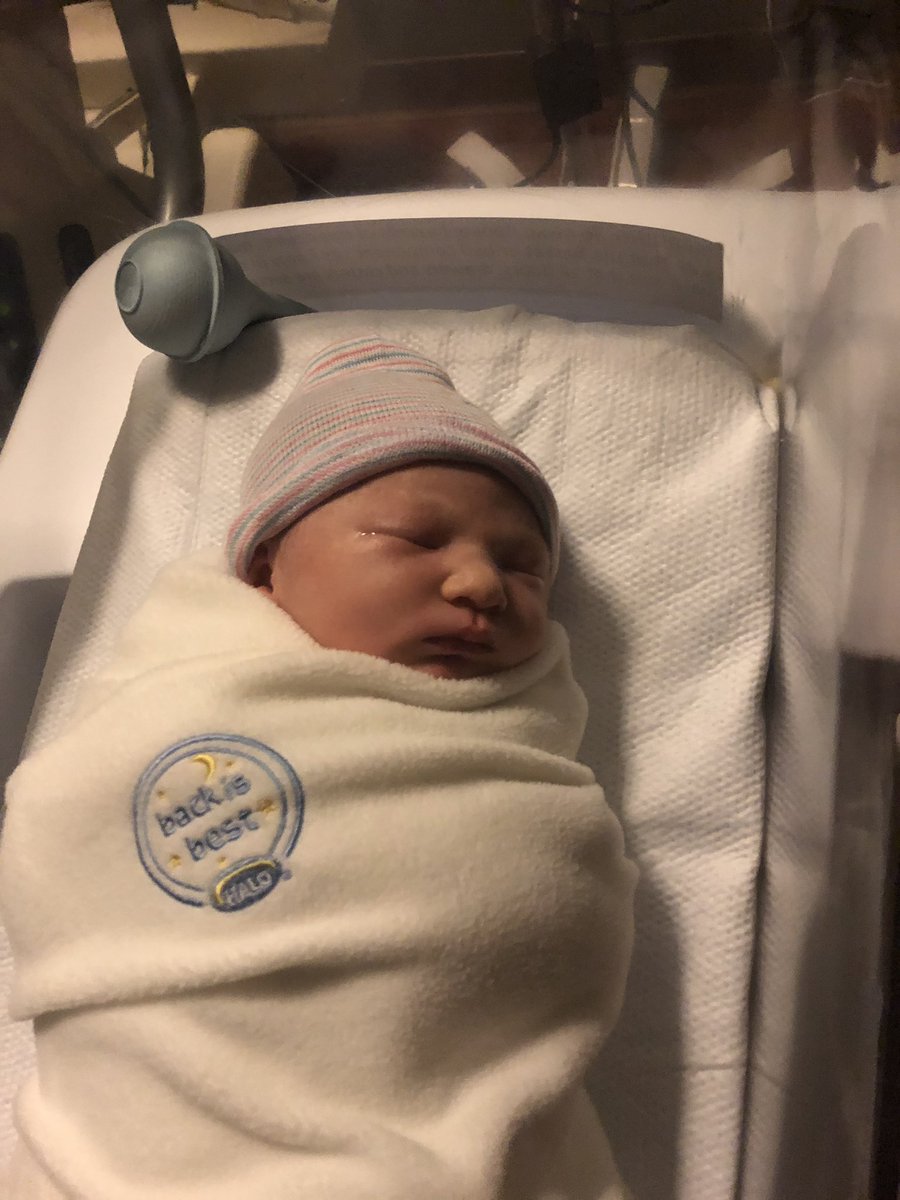 Matt Little On Twitter Poppy Sai Little Born Yesterday