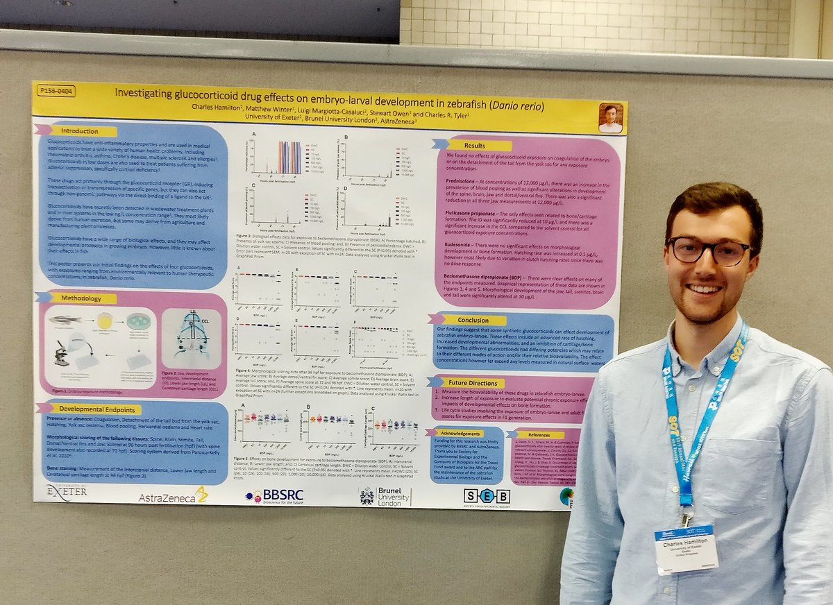 Charles_Ham10's tweet photo. Excited to be presenting my research at @iutox International Congress of Toxicology on the effects of glucocorticoids on developing zebrafish. Find me at poster no.156 https://t.co/k8vGt5DThj