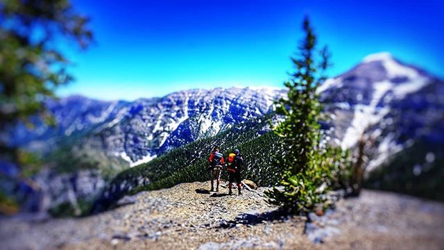 PetBeaconLA's tweet photo. 🤘
.
.
.
.
.
.
.
.
.
.
.
.
.
.
.
.
focused #endurancetraining  #cyclingphotos  #healthy #motivation #inspiration #awol  #ciclismo #instacycling #cyclingshots #fromwhereiride #roadcycling #stravacycling #outsideisfree #cyclinglife #livetoride #roadslikethese  #bici #bicicleta … https://t.co/w0hedD1NLR