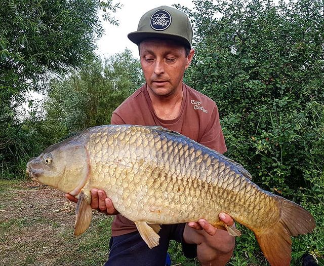 Curly managed this two tone common yesterday on a bottom bait while the others were basking in the surface #commoncarp #carpfishing #carp #crowsheathfishery #carplake #carplife #fishing🐟 #fishing #filthyhooker #fishingislife #fishing🎣 #fishinglife #f… ift.tt/2XNmI54