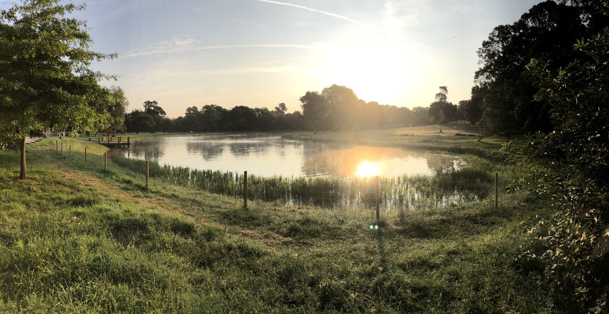 gavinplaskitt's tweet photo. Dawn at Beckenham Place Park, only three days to relaunch. I’d better stop gawping at the view and get on with something more productive. https://t.co/LlCXTN2atK